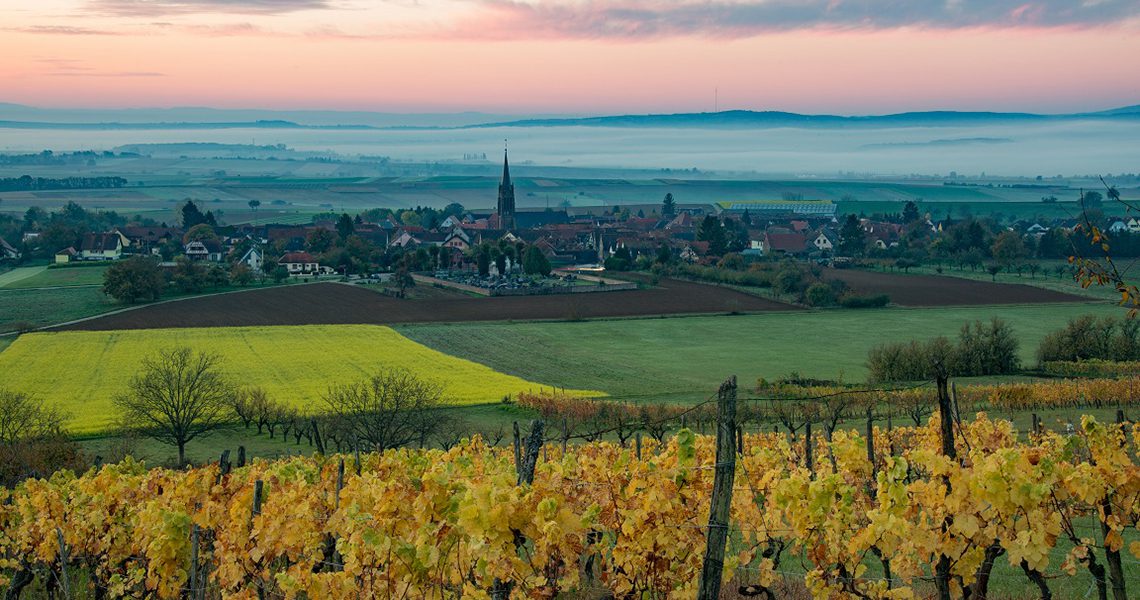 The European Route of Judaism on the Rhineland - Bouxwiller