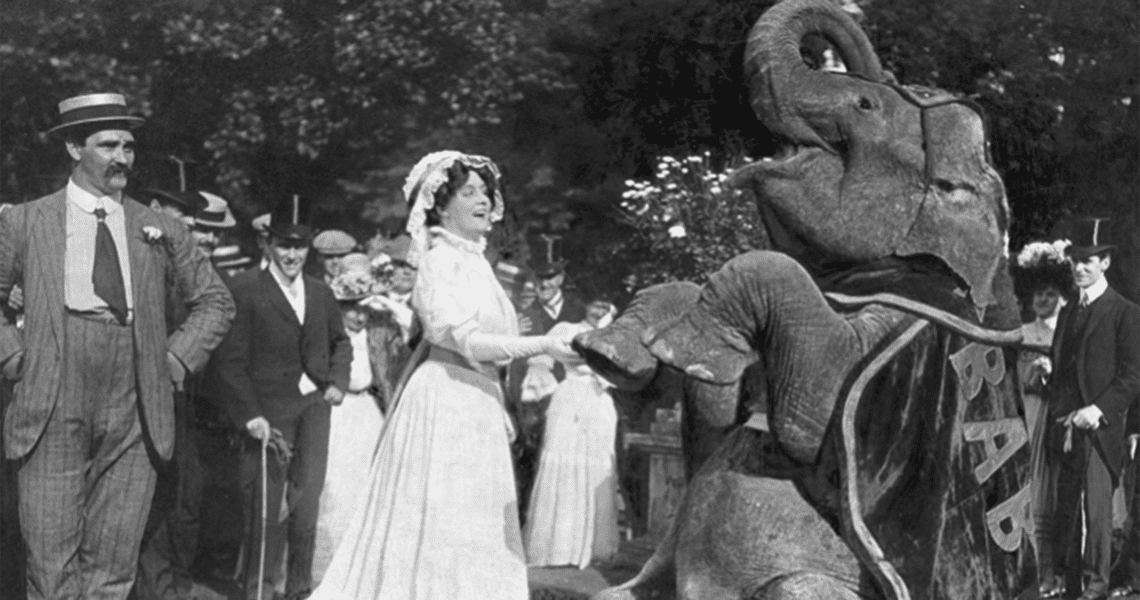 Olympic Party at Strawberry Hill with Elephant and Miss Evie Green musical comedy actress, in The Sketch 5 August 1908