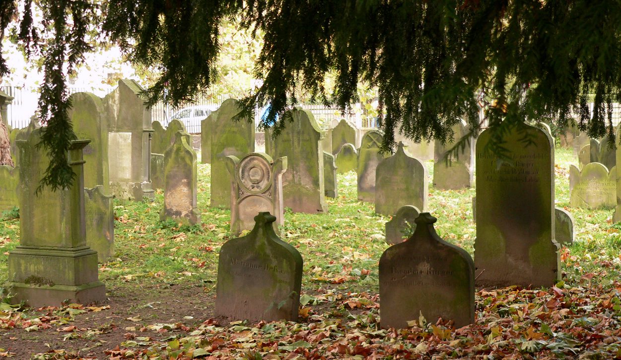 Between Harz, Heath and Weser Jewish life in central Lower Saxony_  Hameln